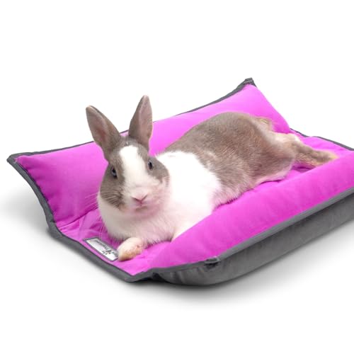 Snuggle Bunny Bolster Bed (Gray/Pink)