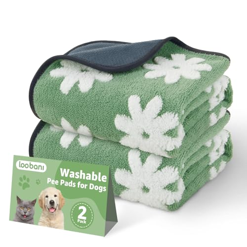 Washable Puppy Pads (Green Daisy / 36"x24"(Pack of 2))