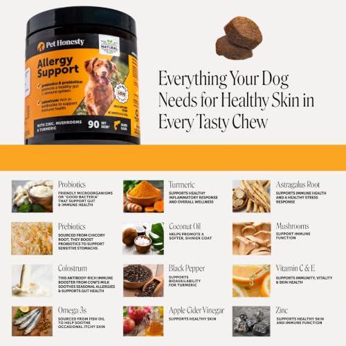 Dog Allergy Chews for Itch & Allergy Relief (90 Count)