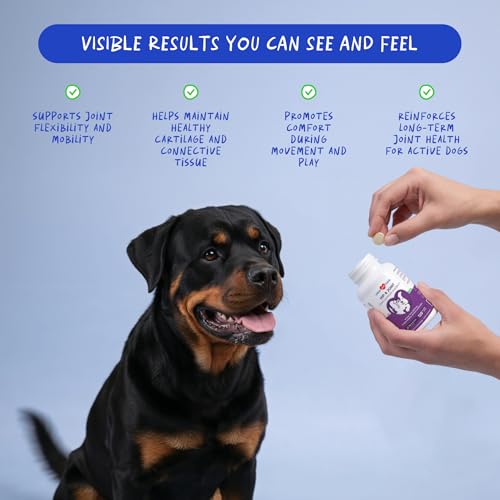 Hip and Joint Supplement for Dogs