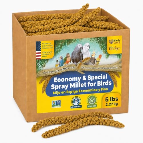 5lbs Economy & Special Spray Millet for Birds (5 Pound (Pack of 1))