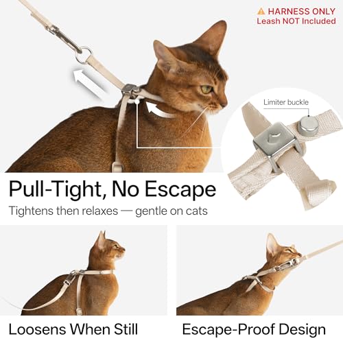 Escape Proof Cat Harness Anti (Sierra Blue / S)