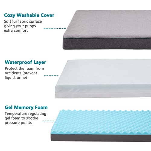 Orthopedic Memory Foam Dog Bed (Purple Grey / Medium-29"x 18" x 3")