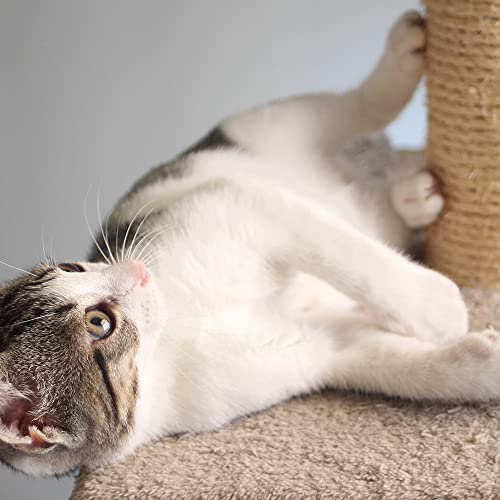 Cat Scratching Post (Gray)