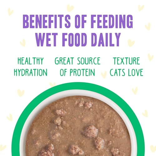 B.F.F. OMG Best Feline Friend Oh My Gravy! (2.8 Ounce (Pack of 12))