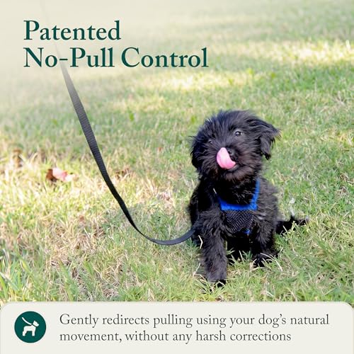 No Pull Dog Harness (Small / Blue)