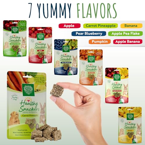 Healthy Snackers (2 Ounce (Pack of 1))