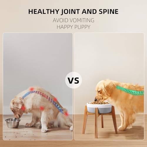 Elevated Dog Bowl Stand for Large Dogs (XLarge - 1 Pack)