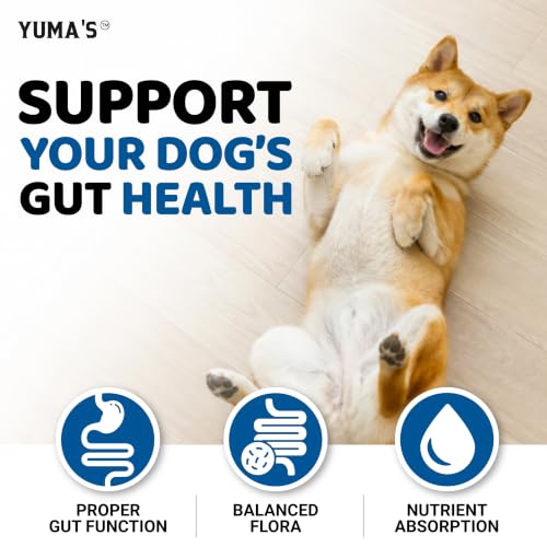 Probiotics for Dogs and Digestive Enzymes (Probiotics + Enzymes / 170 Chews)