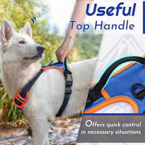 Dog Harness for Small Dogs (Small / Blue & Orange)