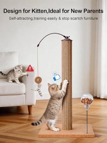 Cat Scratching Post with Snack Ball & Feather Toys for Kitten