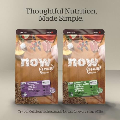 Adult Dry Cat Food (8 Pound (Pack of 1))