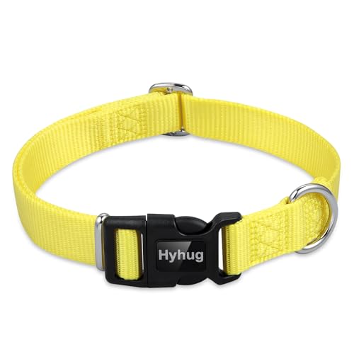 Yellow Dog Collar for Medium Dogs (Medium / Luminous Yellow)