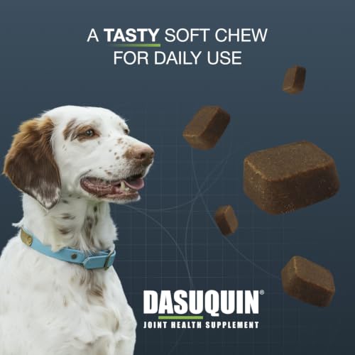 Nutramax Dasuquin Joint Supplement (Small/Medium Dog 84 Count)