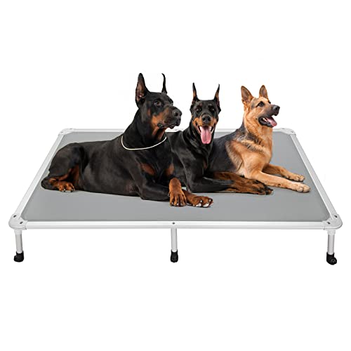 Chew Proof Elevated Dog Bed (Gray / 59.0"L x 37.5"W x 9.0"Th)
