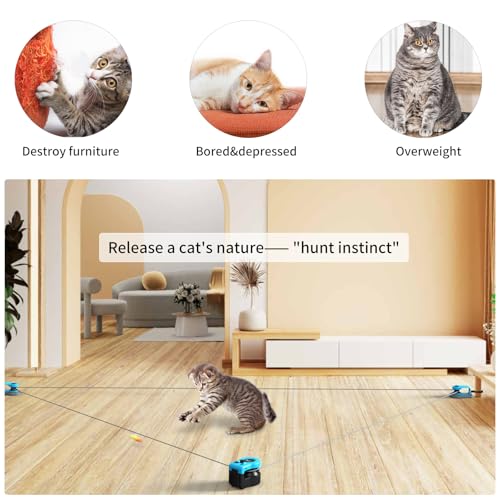 Upgraded Interactive Cat Toy for Indoor Cats Chase (Sky Blue)