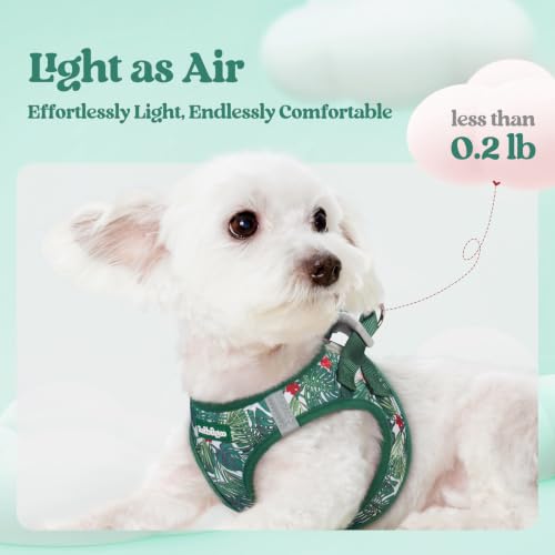 Dog Harness Small Sized and Leash Set (Rainforest Green / S (chest: 15.1 - 16.5"))