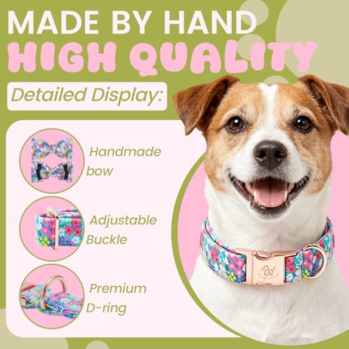 Spring Floral Dog Collar (Flower&Wild Berries / X-Small (Pack of 1))