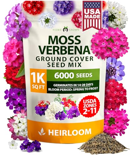Verbena Moss Seeds