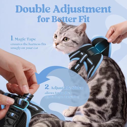 Cat Harness and Leash Set (XL / Black & Light Blue)