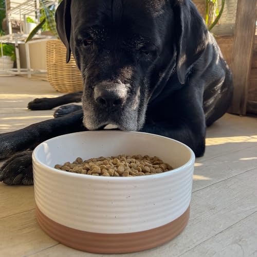 Ceramic Pet Bowl (Large / Vanilla White)