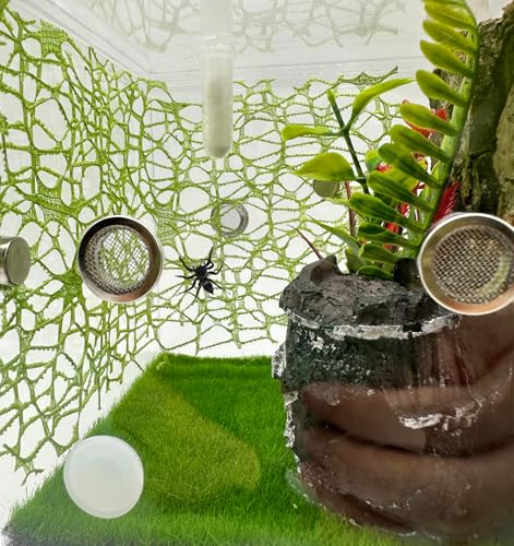 6 PCS Jumping Spider Habitat Accessories