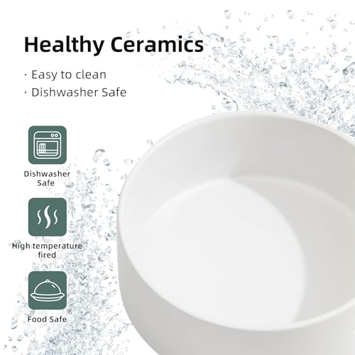 Dog Bowls Elevated (Matte White)