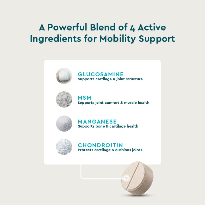 Hip & Joint Chewable Tablets for Dogs (Standard Strength / 60 Count (Chewable Tablets))