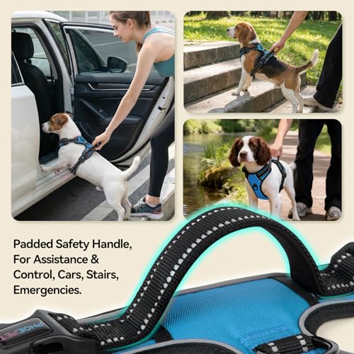 No Pull Dog Harness Medium Reflective Front Clip Puppy Vest (Medium / Blue)