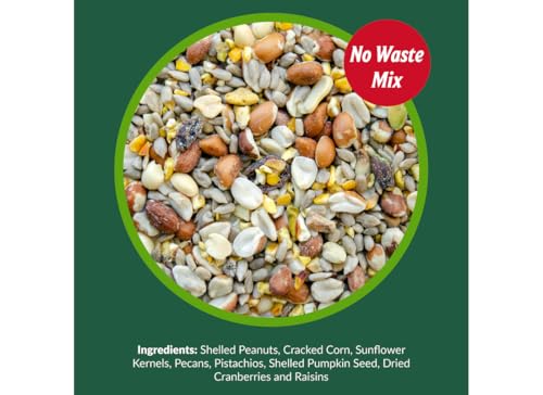 Woodpecker Wild Bird Seed