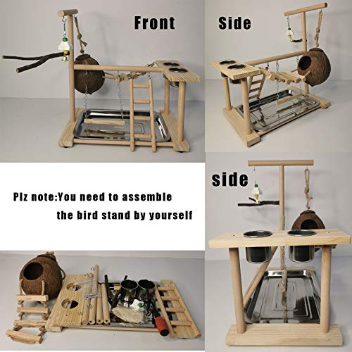 Bird Playground Parakeet Play Stand Wooden Parrot Perch Gym