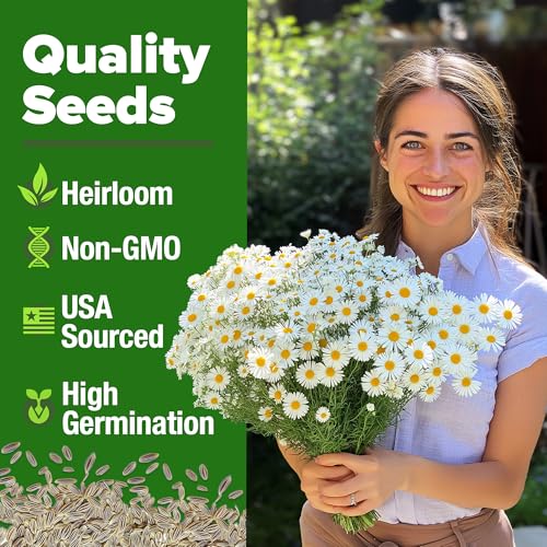 German Chamomile Seeds