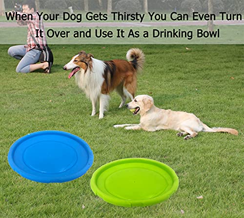 Dog Flying Disc (Blue & Green)