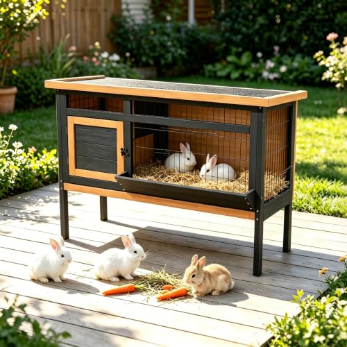 Elevated Rabbit Hutch Indoor & Outdoor (C02 Orange with Black)
