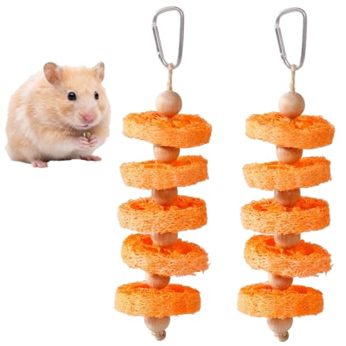 Bunny Chew Toys 2 Pack Natural Loofah Hanging Toy with Fruit Flavor for Rabbits Guinea Pigs Hamsters Small Animal Teeth Grinding and Cage Enrichment Rabbit Chew Toys (Orange Flavor)