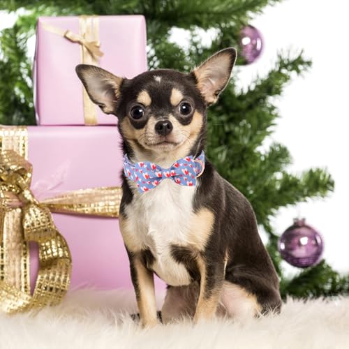Valentine's Day Dog Collar with Bow Tie Red Blue Pink Heart Love Puppy Collar Best Gothic Style Gift for Small Medium Large Boys Girls (Small / love heart-bow)