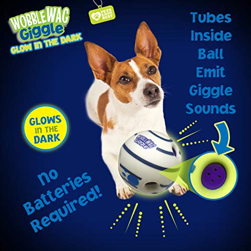 Glow in the Dark (Glow In The Dark)