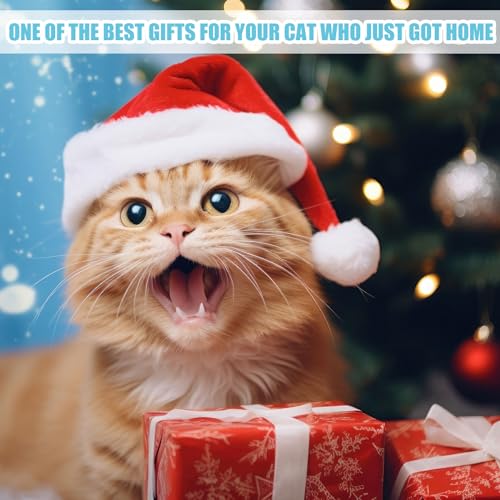 40 Pcs Kitten Starter Kit for Indoor Cats Include Litter Box