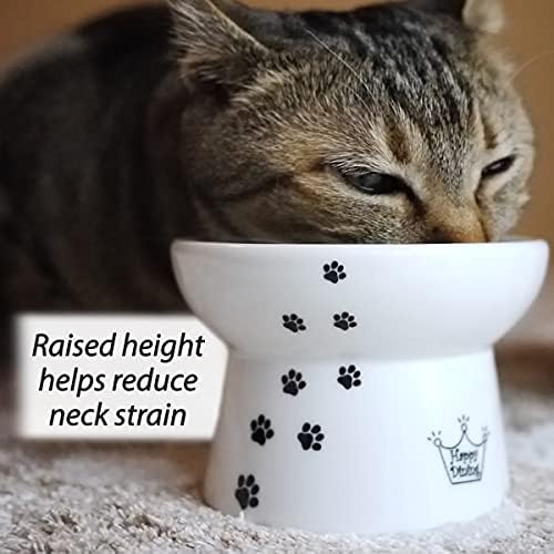 Necoichi Porcelain Ceramic Elevated Cat Food Bowl (Cat / Regular)