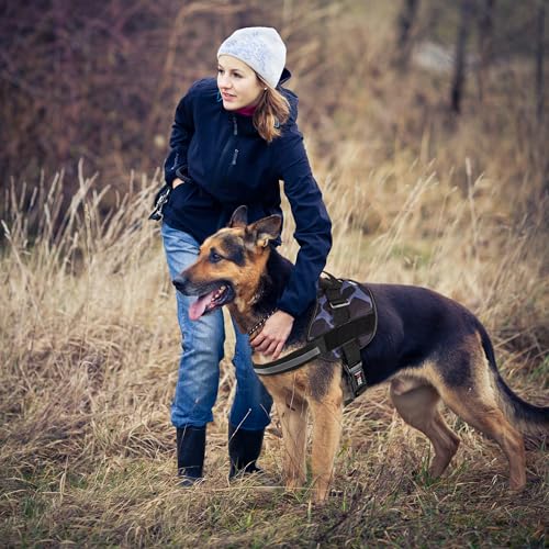 Dog Harness Reflective No (Girraffe Grey / Girth 27" to 34")