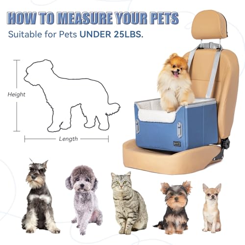 Dog Car Seats for Small Dogs