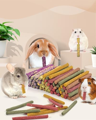 72 PCS Rabbit Chew Sticks