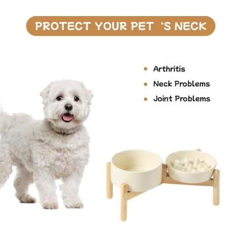 Elevated Slow Feeder Dog Bowls (Light Yellow)