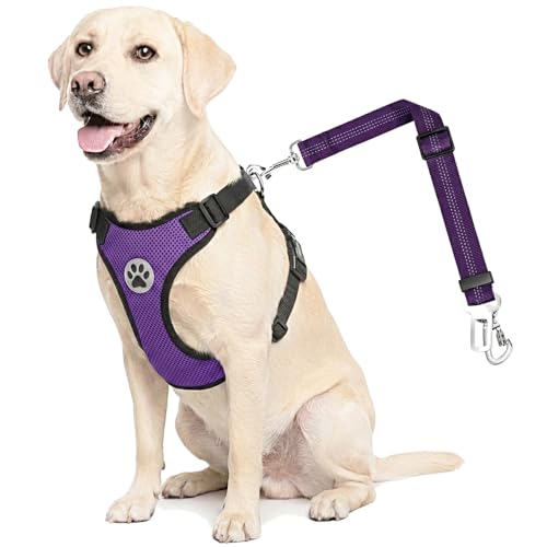 Dog Car Harness Seat Belt (Medium / Purple)