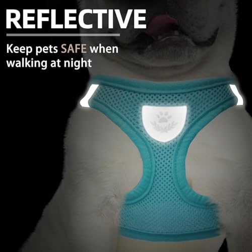 Dog Harness Collar and Leash Set No Pull for Small Medium Sized (Turquoise / L (CHEST 18"-20"))