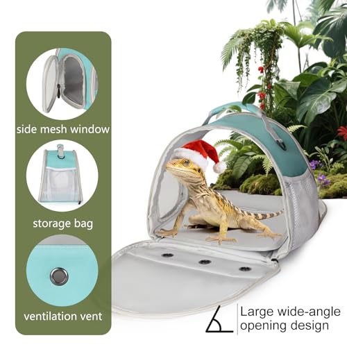 Guinea Pig Carrier (Green)