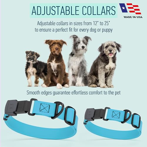 Biothane Waterproof Dog Collar with Herm Sprenger Black Stainless Steel Quick Release Buckle (W 3/4" x L 12"-19" / Sky Blue)