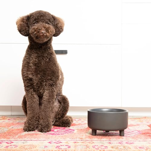 Uplift Elevated Ceramic Dog Bowl (Medium / Olive)