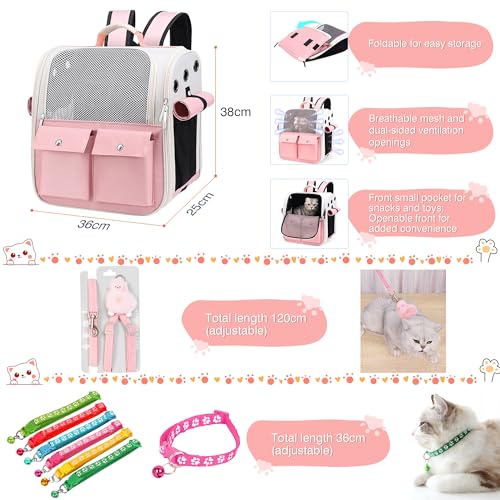 Kitten Starter Kit (pink)