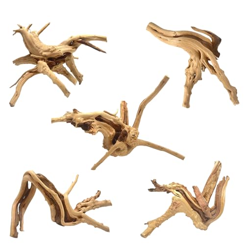 Natural Spiderwood for Aquarium Decor 5 (Spiderwood （4-8 inch pack of 5）)